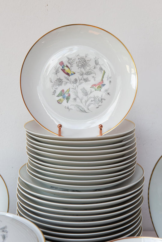 Vajilla francesa para 12 porcelana Limoges Bernardaud "Oiseaux des Iles" (56 PIEZAS)