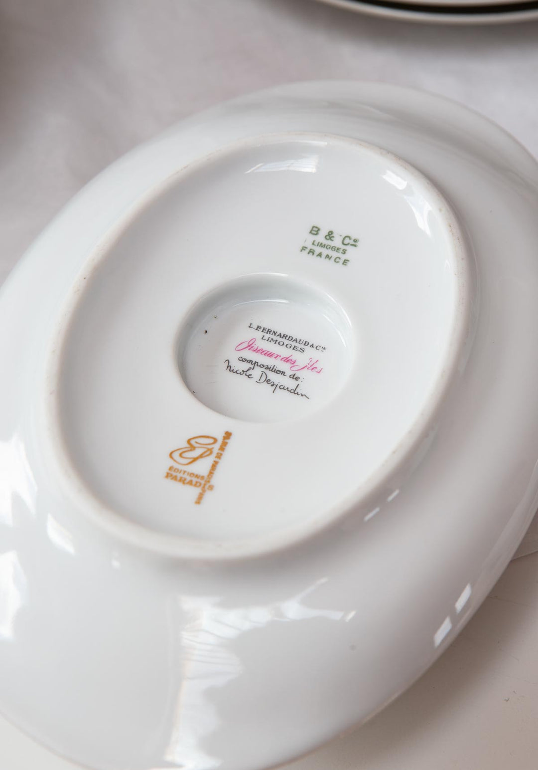 Vajilla francesa para 12 porcelana Limoges Bernardaud "Oiseaux des Iles" (56 PIEZAS)