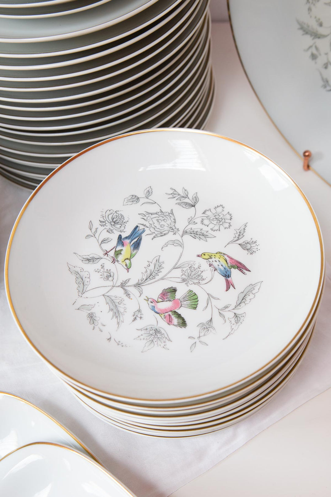 Vajilla francesa para 12 porcelana Limoges Bernardaud "Oiseaux des Iles" (56 PIEZAS)