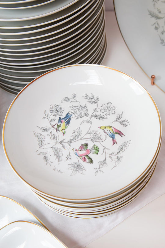 Vajilla francesa para 12 porcelana Limoges Bernardaud "Oiseaux des Iles" (56 PIEZAS)