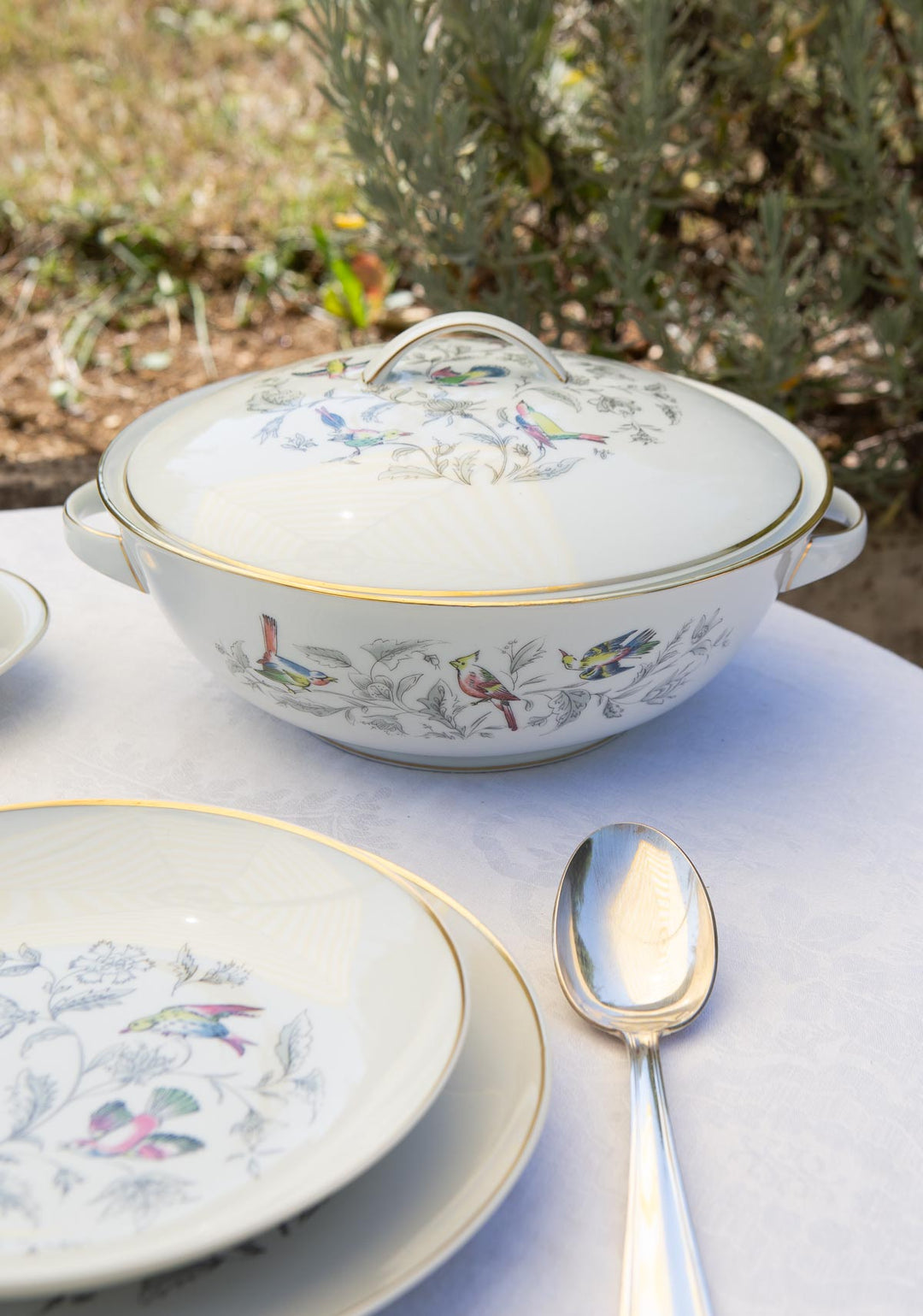 Vajilla francesa para 12 porcelana Limoges Bernardaud "Oiseaux des Iles" (56 PIEZAS)