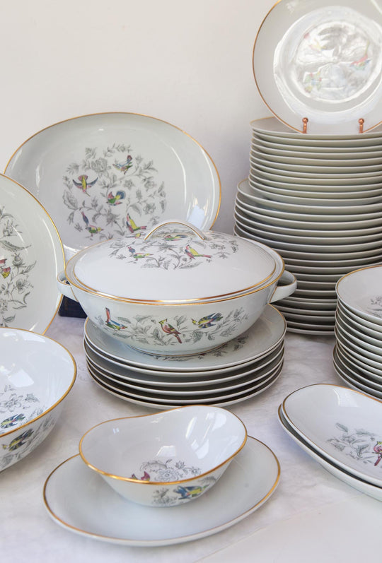 Vajilla francesa para 12 porcelana Limoges Bernardaud "Oiseaux des Iles" (56 PIEZAS)