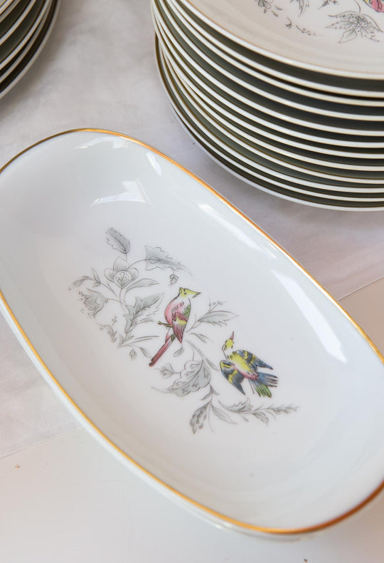 Vajilla francesa para 12 porcelana Limoges Bernardaud "Oiseaux des Iles" (56 PIEZAS)