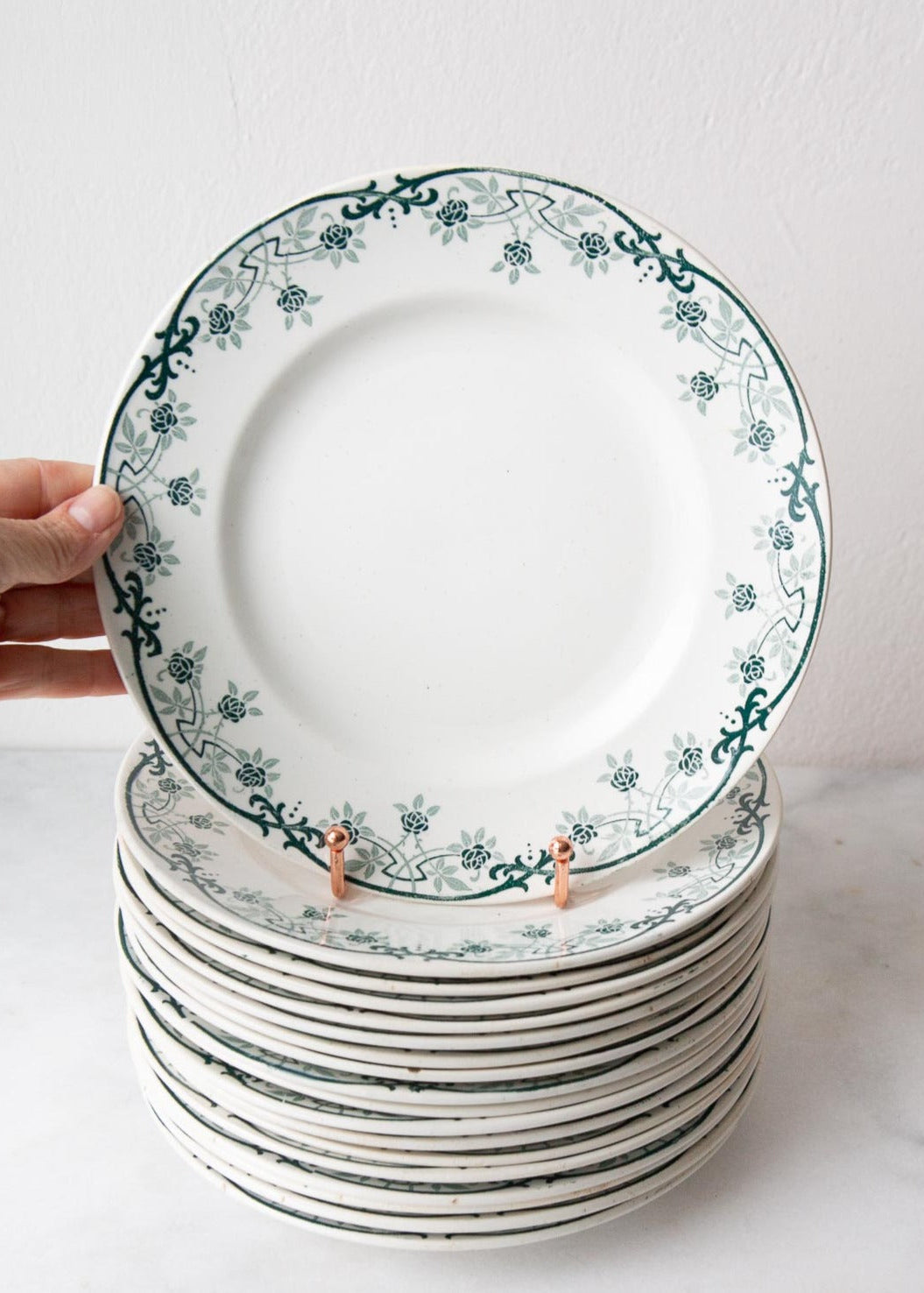 Antiguos platos llanos franceses terre de fer Saint Amand french plates