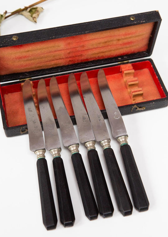 Juego cuchillos franceses con estuche mango ebano set of french knives