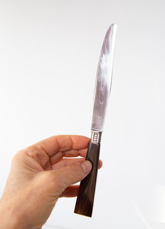 Juego de antiguos cuchillos franceses mango asta en estuche french knives