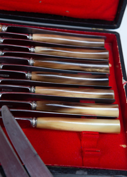 Estuche 18 antiguos cuchillos mango asta (24,5 cm)