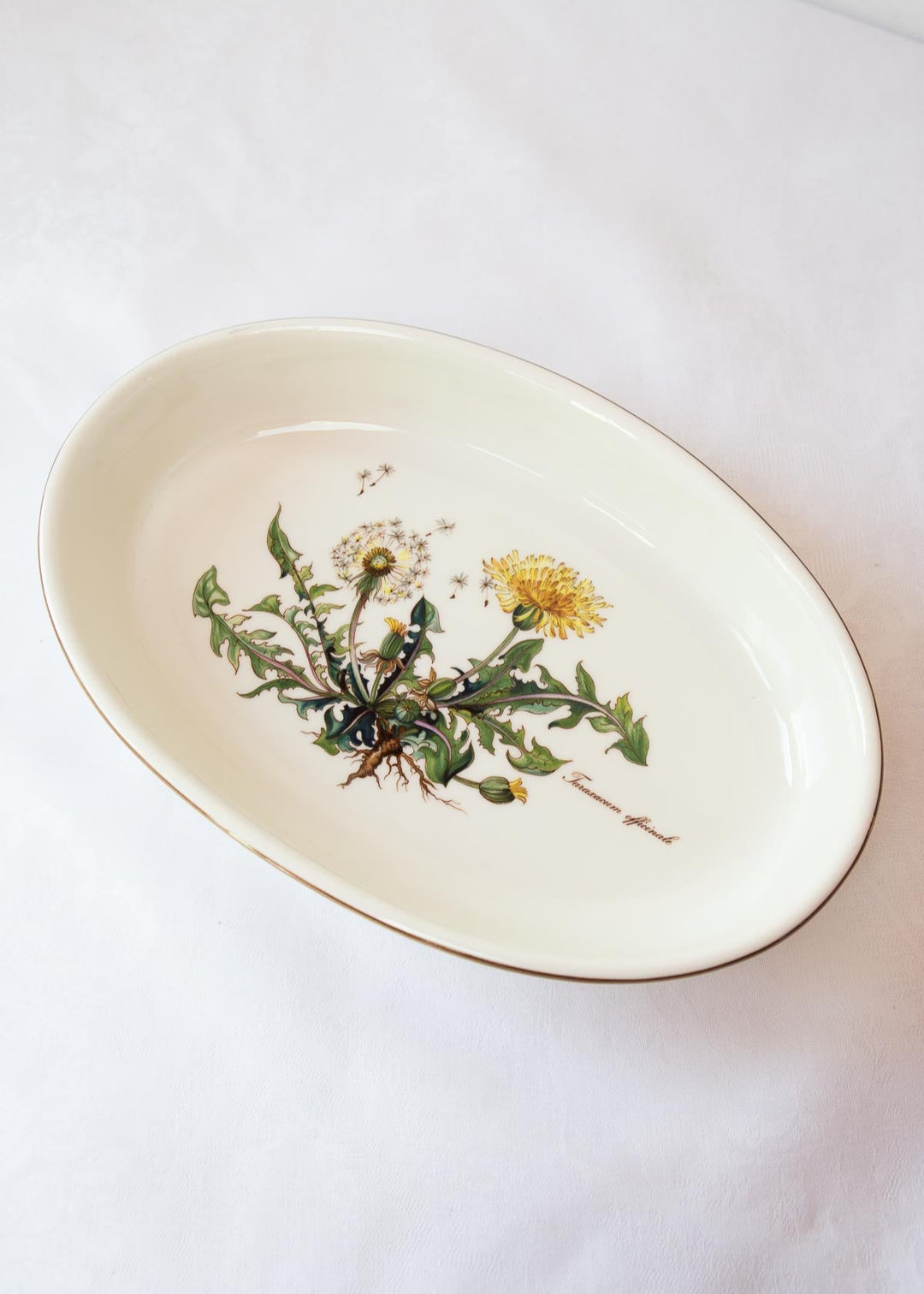 fuentes botanica villeroy boch