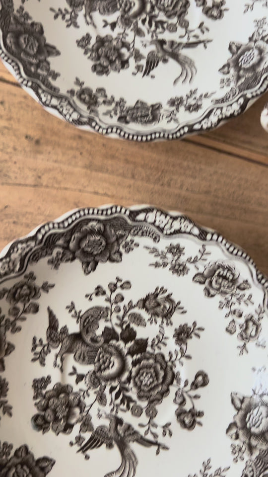 Juego 6 tazas té inglesas Crown Ducal Staffordshire mod. Bristol Asiatic Pheasants  c. 1940s