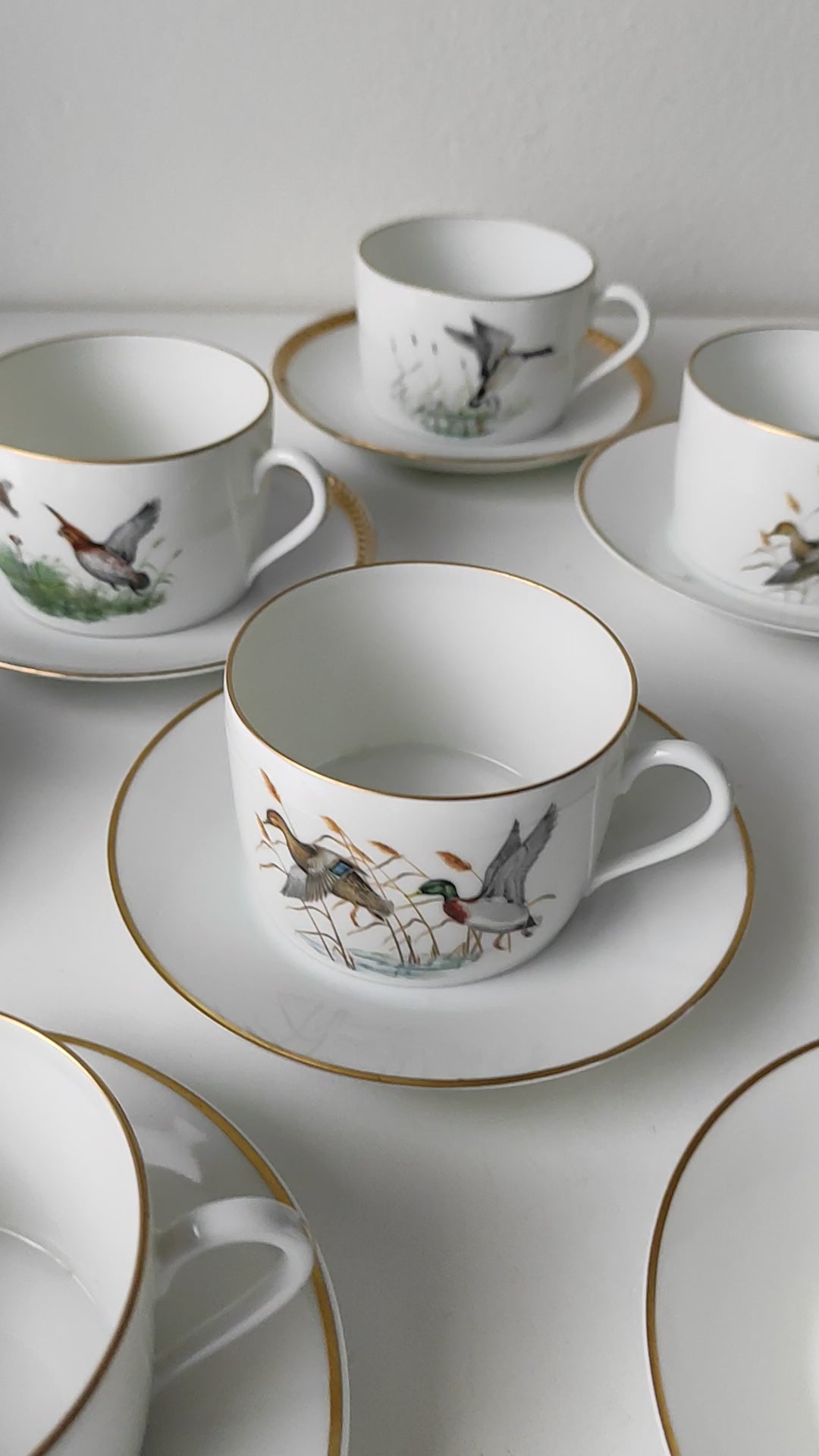 Juego de taza de té y platillo Porcelaine de Paris "pájaros" (6/6)