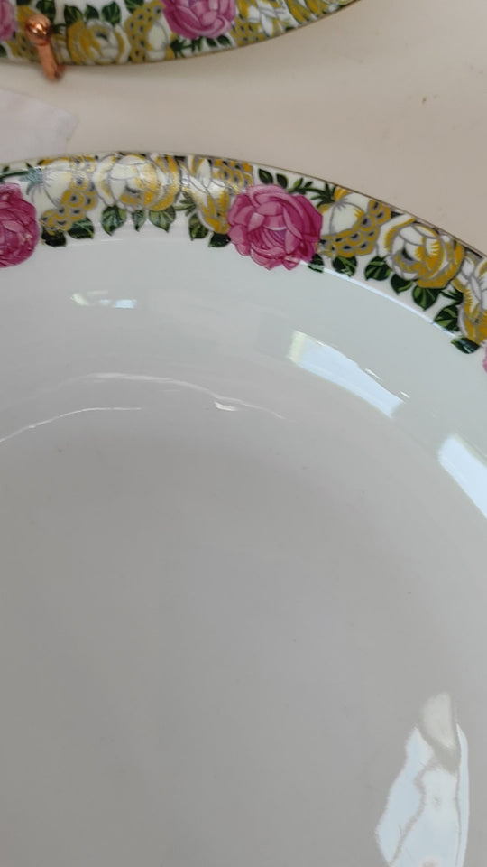 Vajilla porcelana francesa Limoges flores Raynaud 1950 (66 PIEZAS)