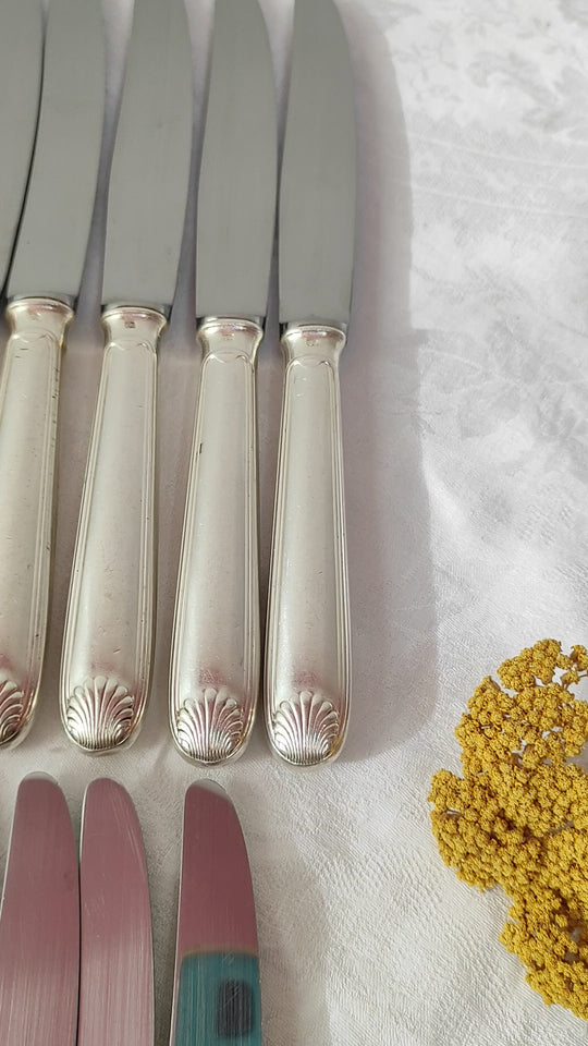 Juego cuchillos franceses MESA y ENTRANTES PARA 12 Argental (24 PIEZAS)