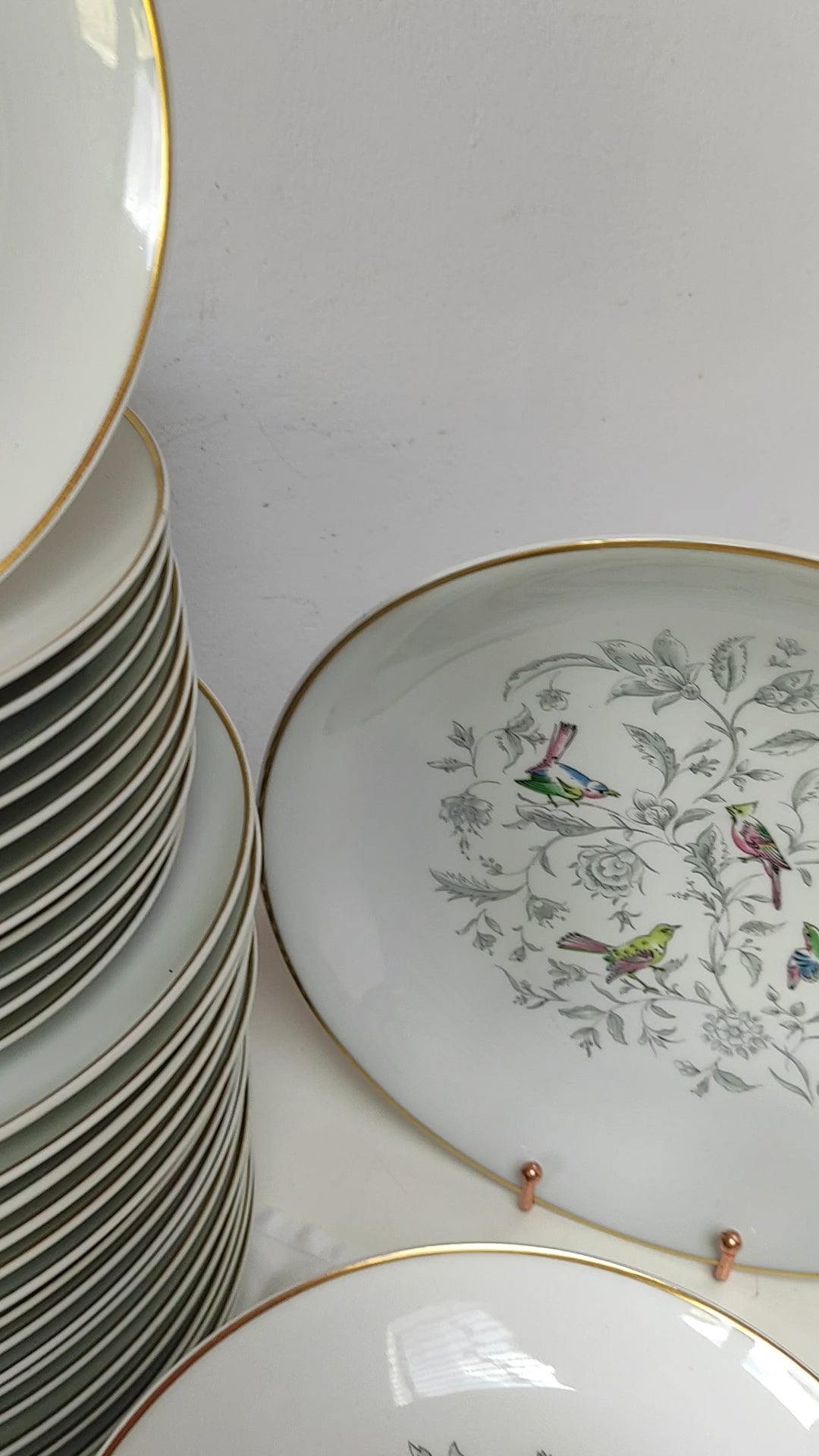 Vajilla francesa para 12 porcelana Limoges Bernardaud "Oiseaux des Iles" (56 PIEZAS)