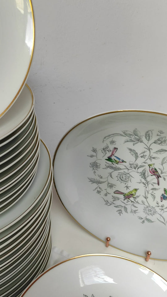 Vajilla francesa para 12 porcelana Limoges Bernardaud "Oiseaux des Iles" (56 PIEZAS)