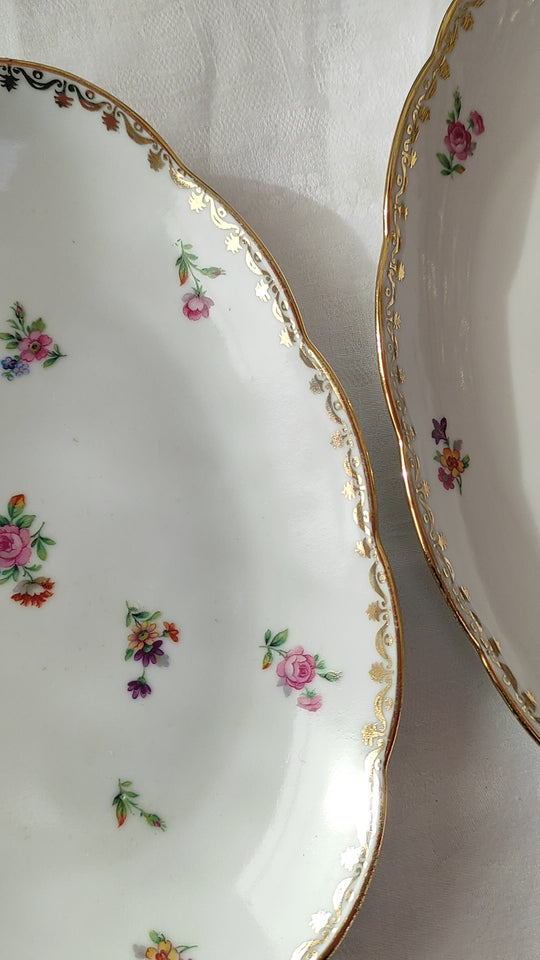 Vajilla porcelana Limoges florecillas detalles dorados S.F.P. (37 PIEZAS)