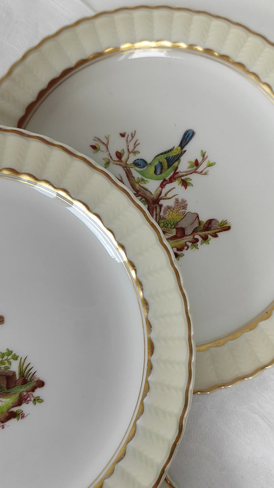 Juego de postre porcelana pájaros Limoges BERNARDAUD c. 1910 (12 servicios)