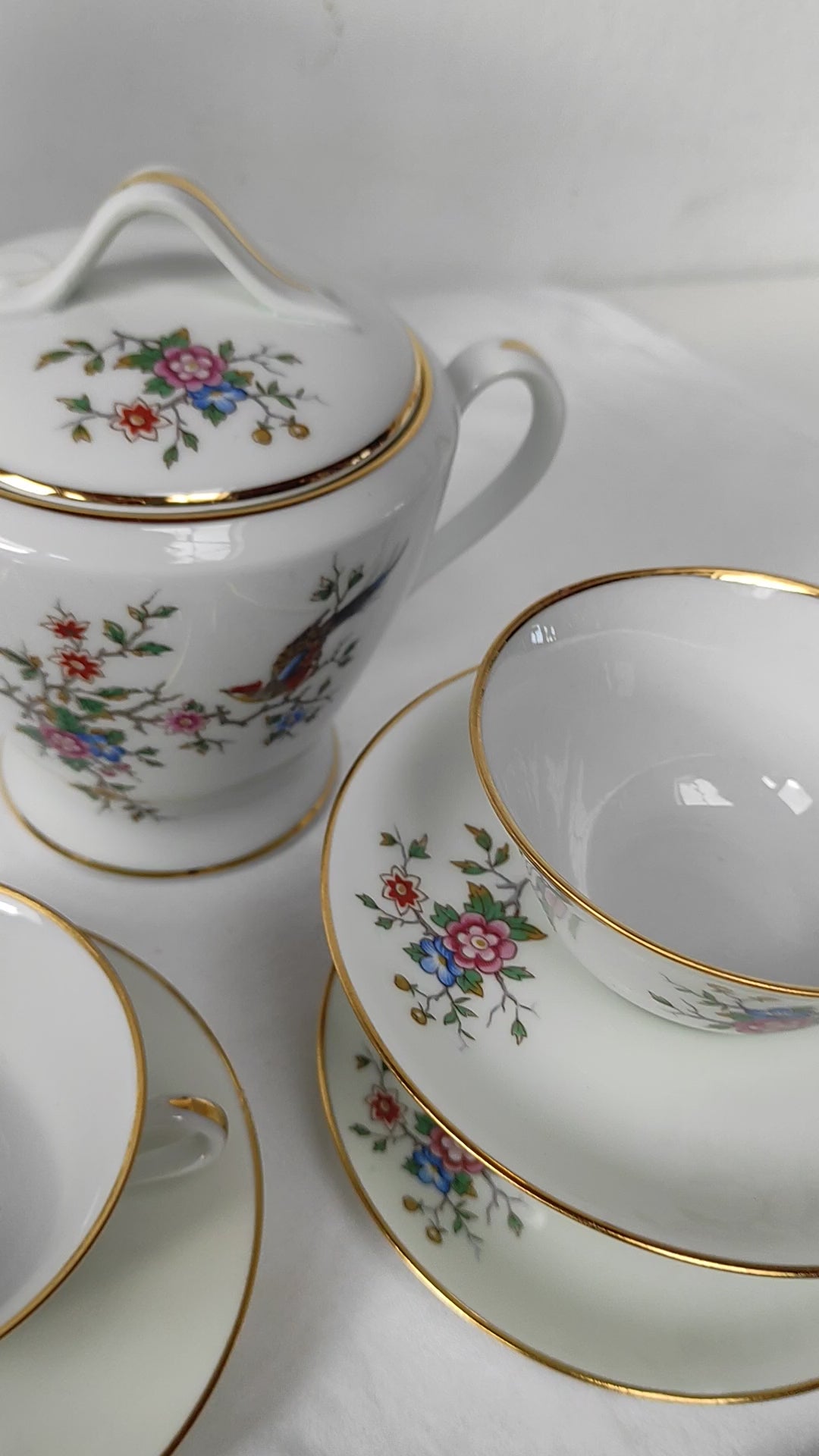 Juego de té PARA 11 porcelana Limoges ave paraíso (25 PIEZAS)