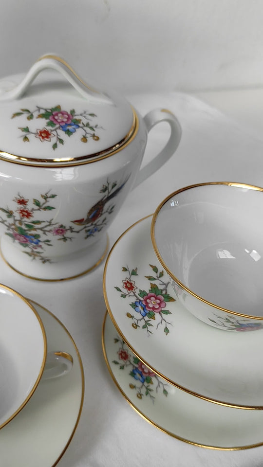 Juego de té PARA 11 porcelana Limoges ave paraíso (25 PIEZAS)