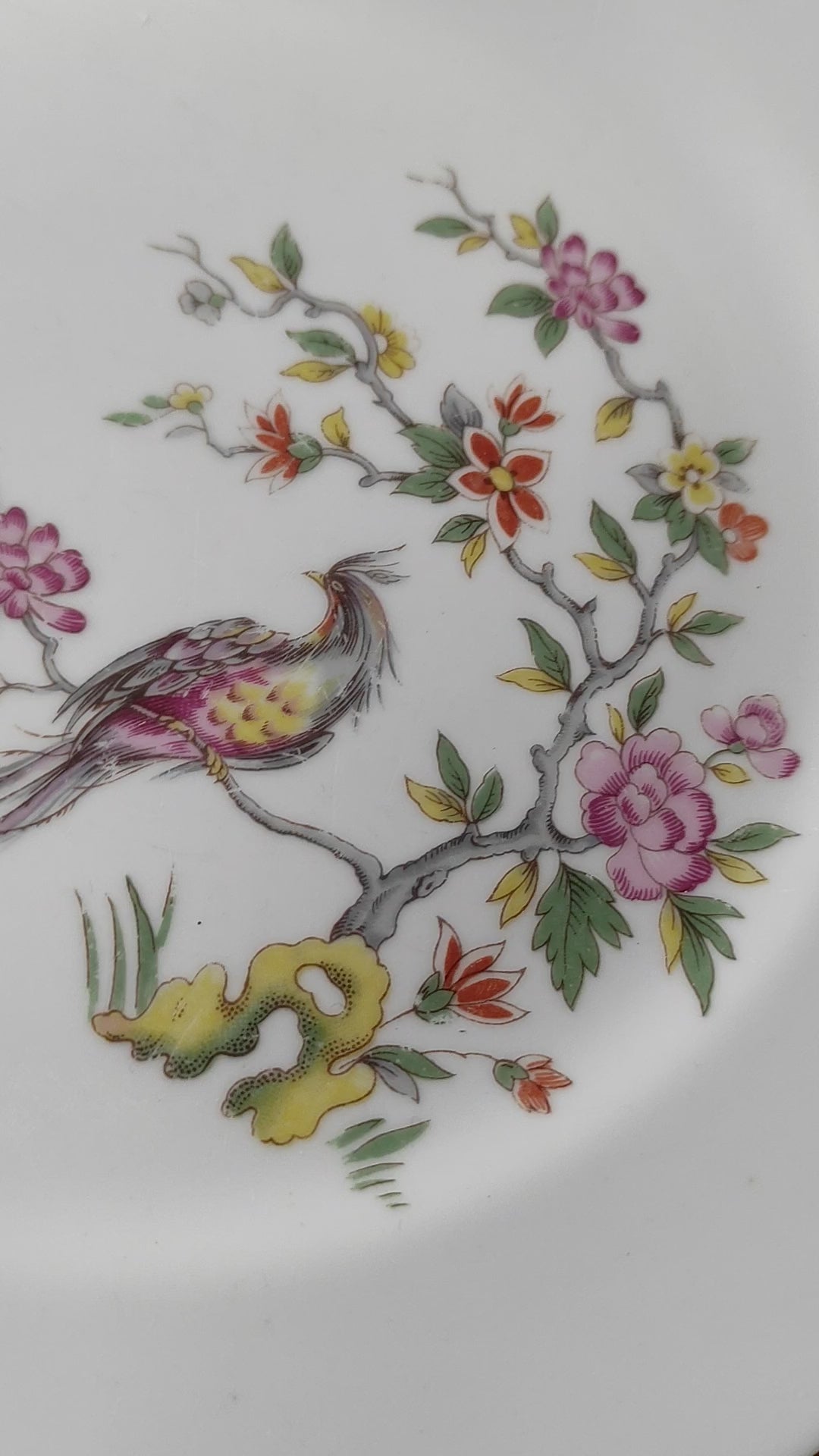 Juego 6 platos llanos porcelana alemana Kahla G.D.R "ave paraíso"