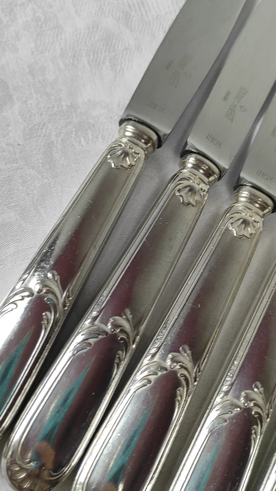 Juego cuchillos MESA y ENTRANTES franceses Ravinet d'Enfert para 10 (21 PIEZAS)