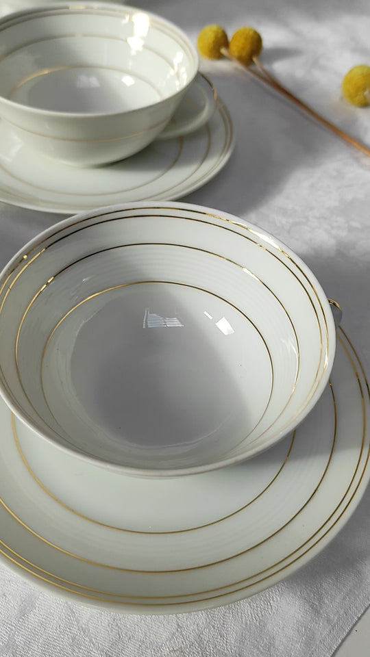 Doble juego de té y café PARA 6 porcelana Charles Ahrenfeldt Limoges (27 PIEZAS)