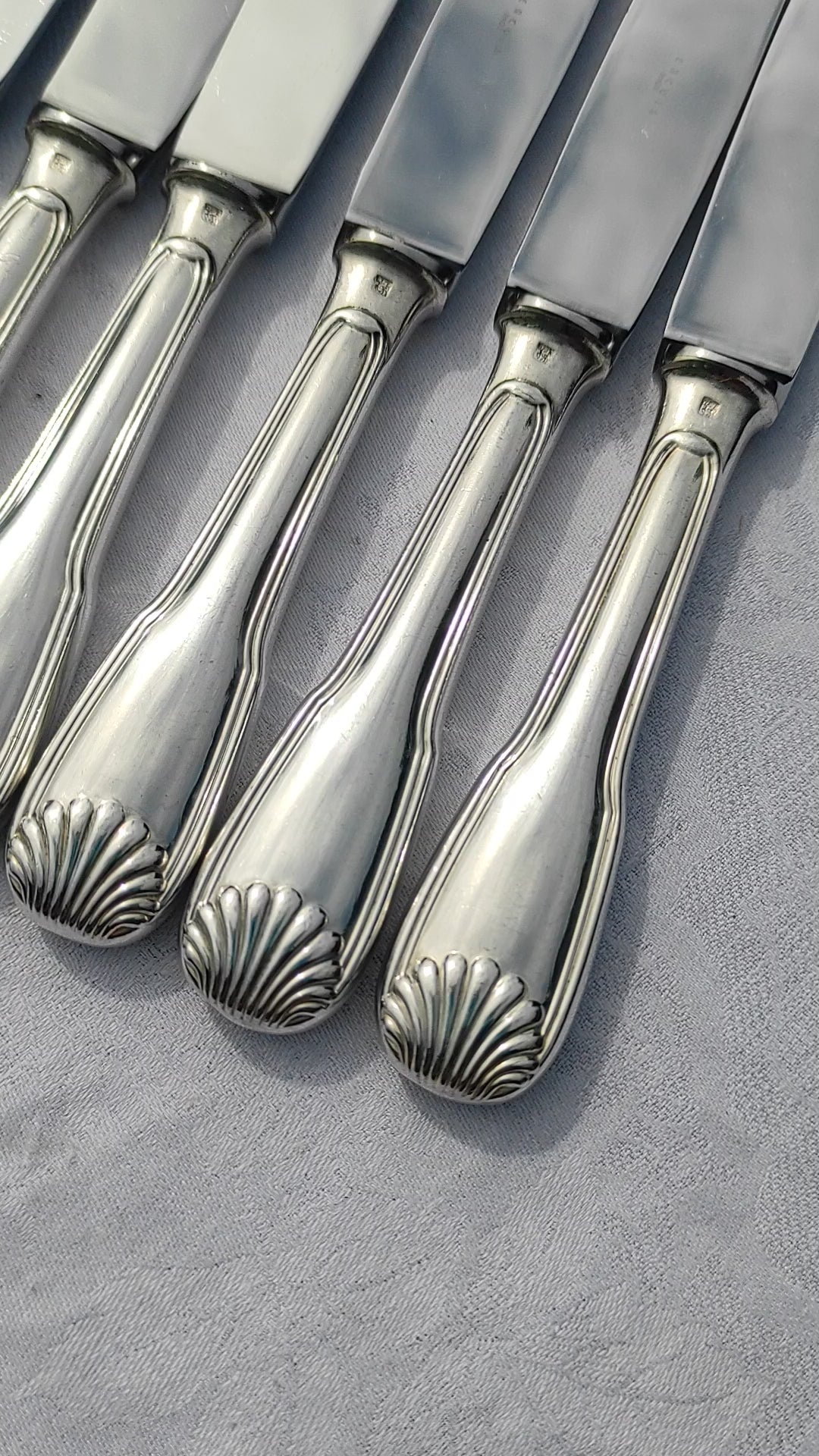 Juego 11 cuchillos MESA franceses ERCUIS modelo Coquille