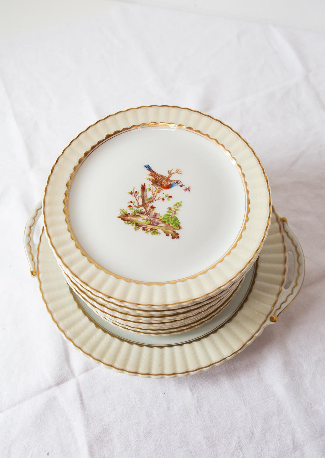 Juego de postre porcelana pájaros Limoges BERNARDAUD c. 1910 (12 servicios)